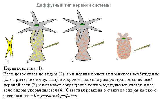 Kraken сайт krakens15 at